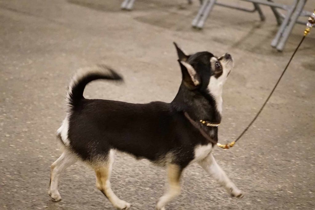 Take it easy des jolis coeurs de Stanley