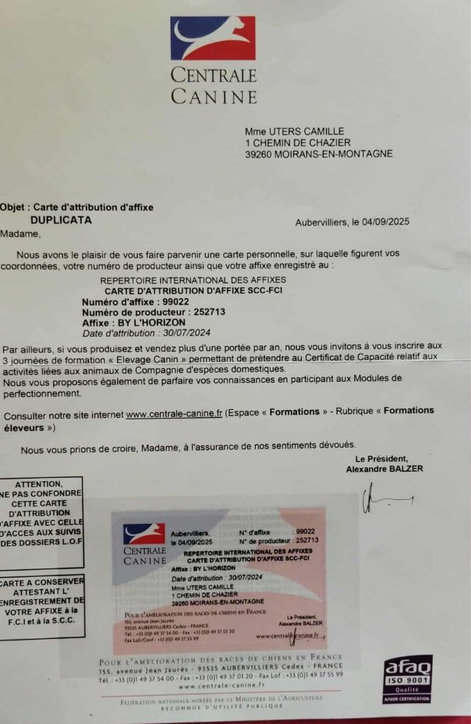 By l'Horizon - Affixe !!