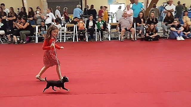 By l'Horizon - Expo de Saulieu (21) !